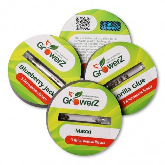 Семена конопли купить сорт Critical Jack Auto Reg.