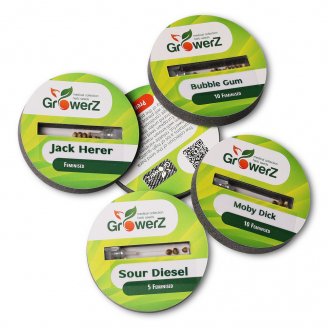 Семена конопли купить сорт LSD Fem.