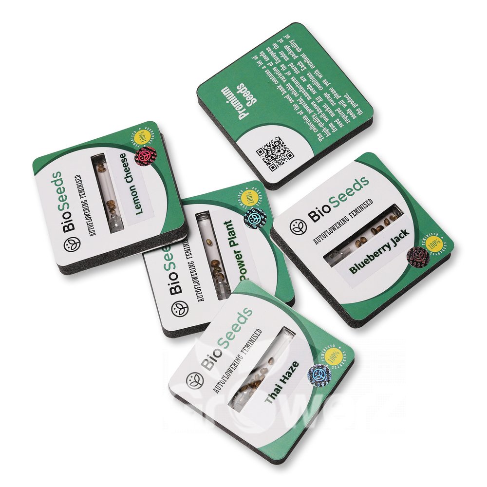 Critical Express Auto Fem.