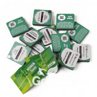 Critical Express Auto Fem.