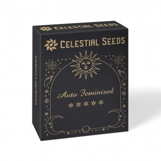 Семена конопли купить сорт Acid Rain Auto Fem.