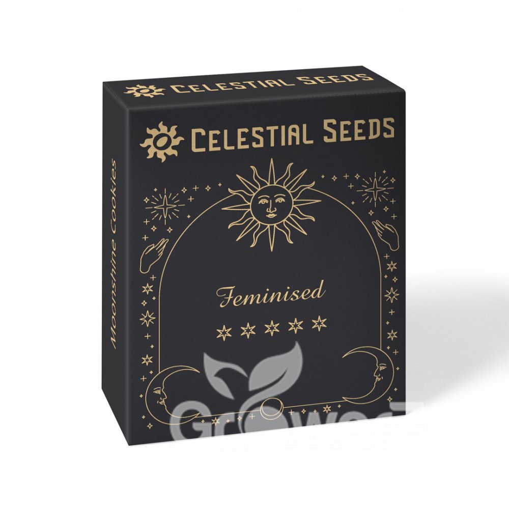 White Widow Fem.