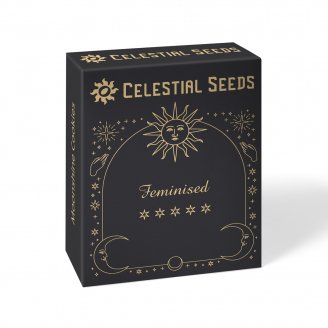 Семена конопли купить сорт Bruce Banner Fem.