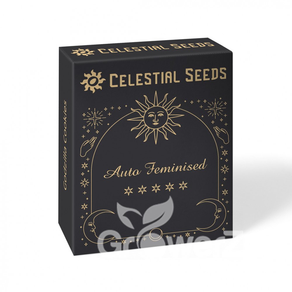 Gorilla Berry Auto Fem.